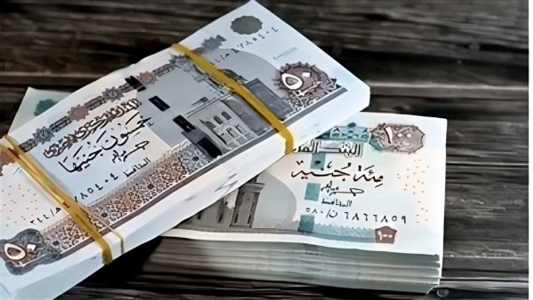 أفعال تؤدي لحرمانك من الدعم النقدي بالقانون الجديد أفعال تؤدي لحرمانك من الدعم النقدي بالقانون الجديد