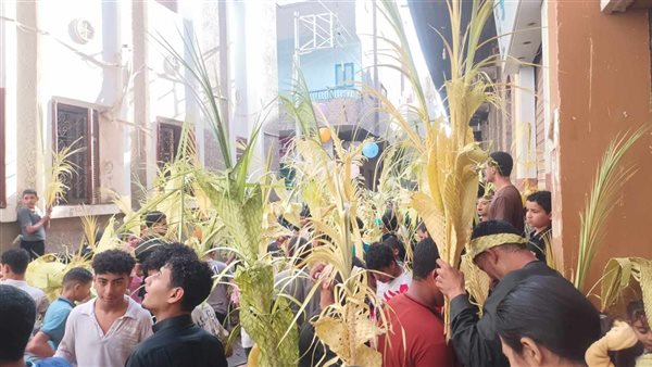 أقباط المنيا يحتفلون بأحد الشعانين أقباط المنيا يحتفلون بأحد الشعانين