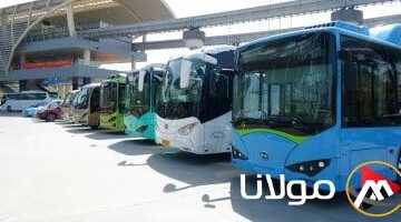 أميك 2025: ارتفاع مبيعات الحافلات بنسبة 33.7% خلال يناير 2025