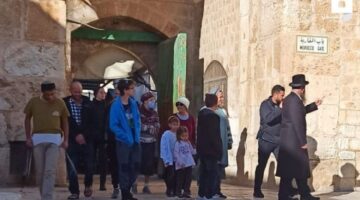 أوقاف القدس: انتهاكات مستوطنين غير مسبوقة منذ أمد للوضع القائم الأقصى