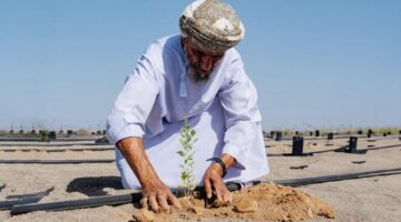 إطلاق مشروع الاستزراع البري لمكافحة التصحر بولاية وادي بني خالد