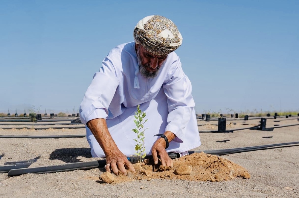 إطلاق مشروع الاستزراع البري لمكافحة التصحر بولاية وادي بني خالد