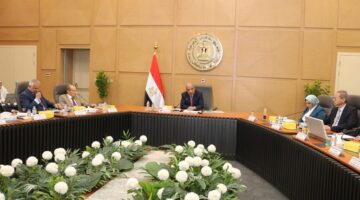 إقرار فصل الشركة المصرية لنقل الكهرباء عن القابضة