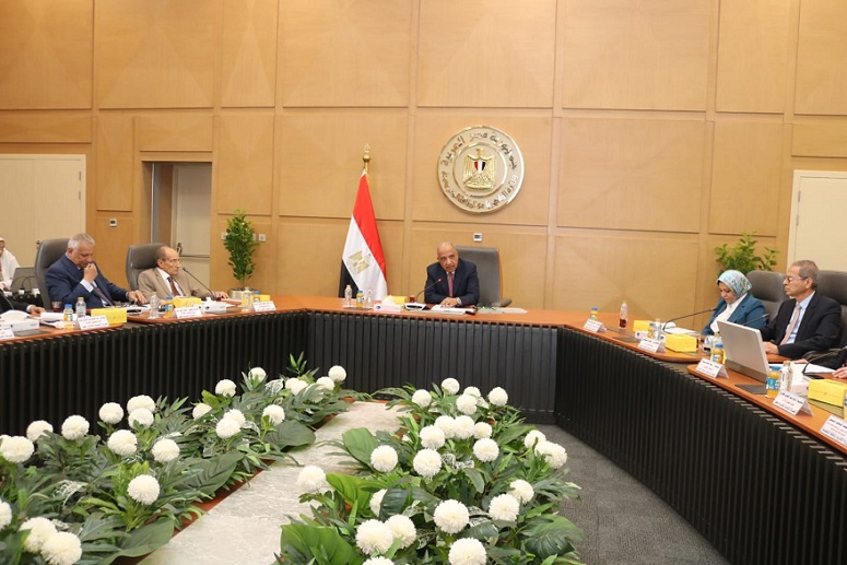 إقرار فصل الشركة المصرية لنقل الكهرباء عن القابضة إقرار فصل الشركة المصرية لنقل الكهرباء عن القابضة