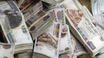 اتخاذ الإجراءات القانونية حيال عنصر إجرامي لغسل 160 مليون جنيه