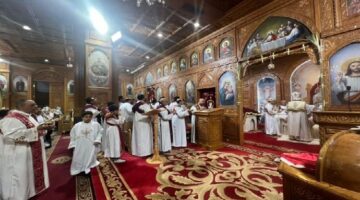 احتفالًا بـ«أحد الشعانين».. باعة الزعف يزينون محيط كنائس السويس