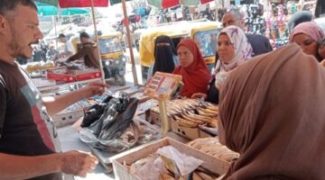 ارتفاع أسعار الأسماك في أسواق الشرقية مع احتفالات شم النسيم