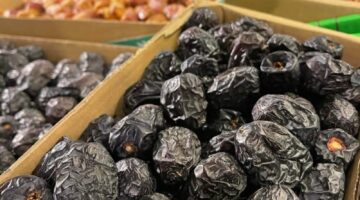 ارتفاع صادرات المملكة من التمور إلى 1.69 مليار ريال خلال 2024