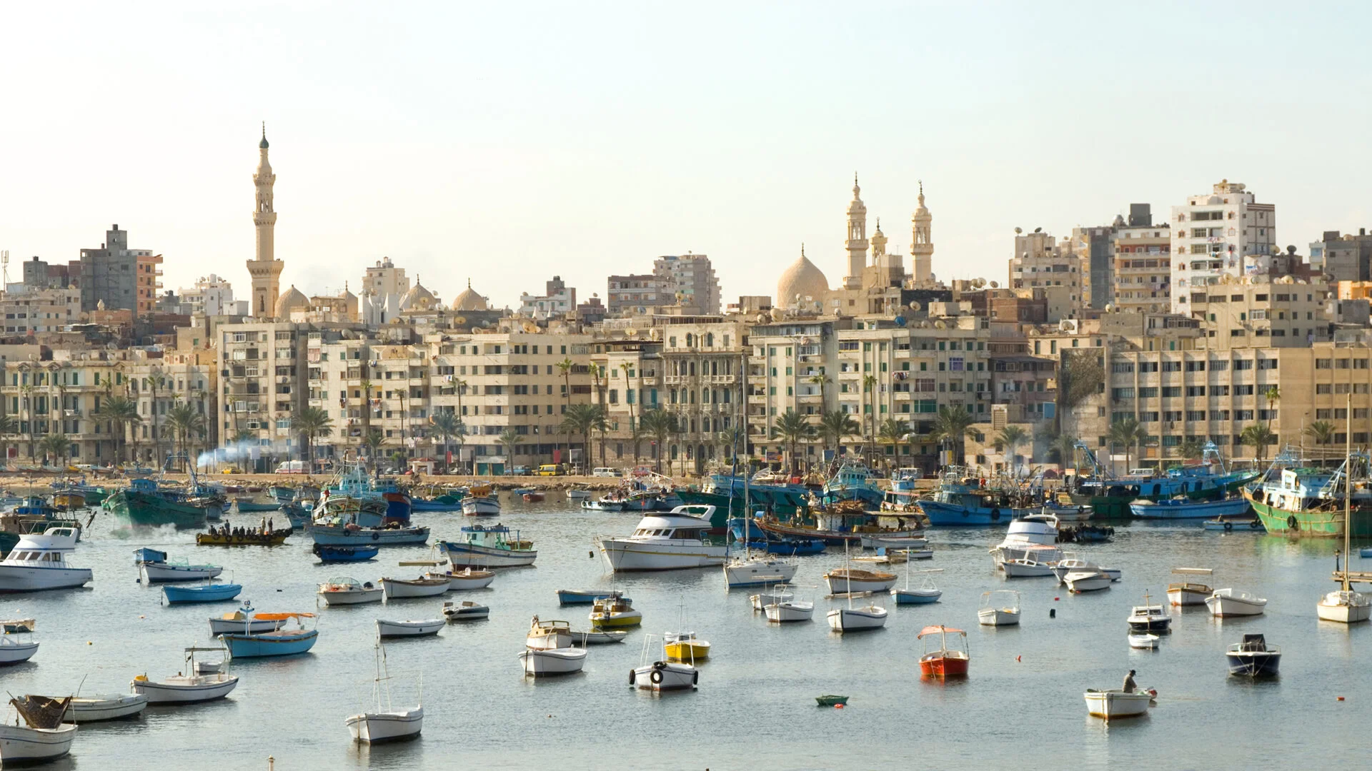مخطط استراتيجي للمدينة.. طفرة مرتقبة بالمشروعات الاستثمارية والخدمية في برج العرب مخطط استراتيجي للمدينة.. طفرة مرتقبة بالمشروعات الاستثمارية والخدمية في برج العرب