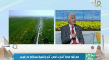 استشاري طاقة: مصر تقود جهود تطوير "الممرات الخضراء" في القارة الإفريقية
