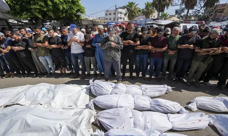 استشهاد 3 فلسطينيين وإصابة آخرين إثر قصف الاحتلال الإسرائيلي "خان يونس" استشهاد 3 فلسطينيين وإصابة آخرين إثر قصف الاحتلال الإسرائيلي "خان يونس"