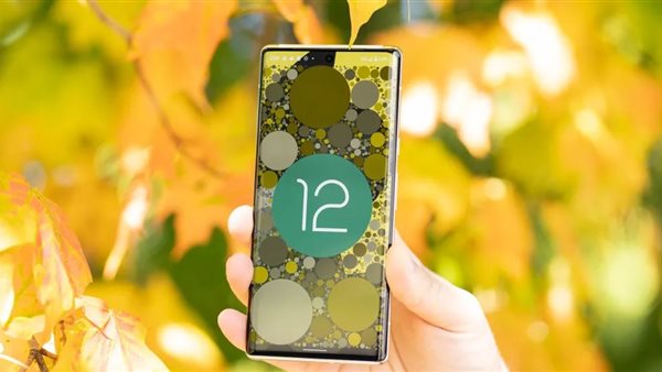 اشتري تليفون جديد.. جوجل تنهي رسميا دعم أمان Android 12 اشتري تليفون جديد.. جوجل تنهي رسميا دعم أمان Android 12