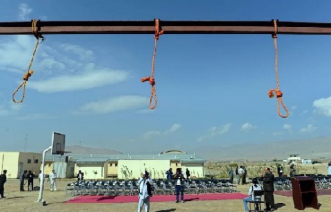 افغانستان ترفض الإدانات الاممية بعد تنفيذ إعدامات علنية افغانستان ترفض الإدانات الاممية بعد تنفيذ إعدامات علنية