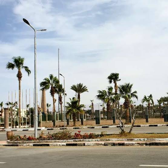 الأرصاد: نشاط رياح على أغلب أنحاء الجمهورية مع وجود فرص لسقوط أمطار