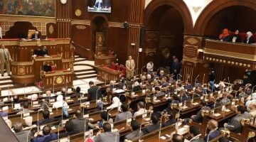 الأسبوع الجاري.. «الشيوخ» يناقش استراتيجية الدولة في إدارة أصول شركات قطاع الأعمال