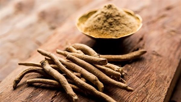 الأشواجندا.. كنز طبيعي لمقاومة التوتر واستعادة الحيوية الأشواجندا.. كنز طبيعي لمقاومة التوتر واستعادة الحيوية