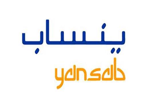 “الأهلي كابيتال”: الرسوم الجمركية عقبة أمام قطاعً البتروكيماويات السعودي وهذه توقعاتنا لأرباح”ينساب” حتى 2027 والسعر المستهدف للسهم “الأهلي كابيتال”: الرسوم الجمركية عقبة أمام قطاعً البتروكيماويات السعودي وهذه توقعاتنا لأرباح”ينساب” حتى 2027 والسعر المستهدف للسهم