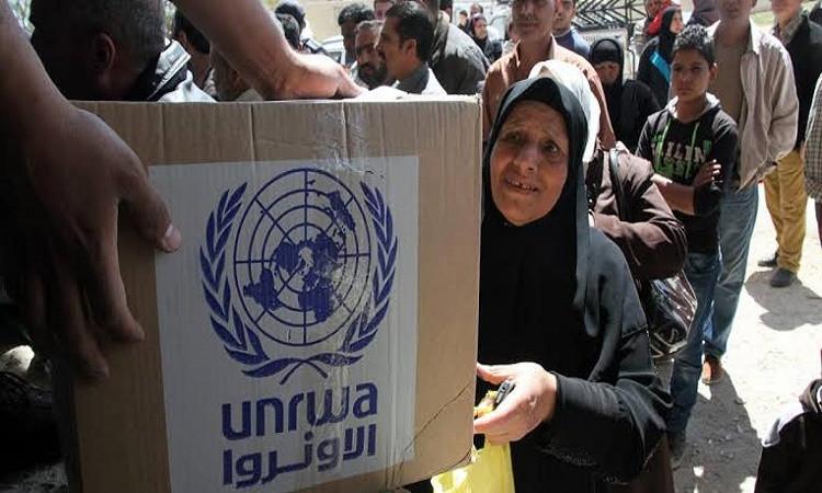 الأونروا: غزة تقترب من الجوع الشديد والرضع والأطفال ينامون جائعين الأونروا: غزة تقترب من الجوع الشديد والرضع والأطفال ينامون جائعين