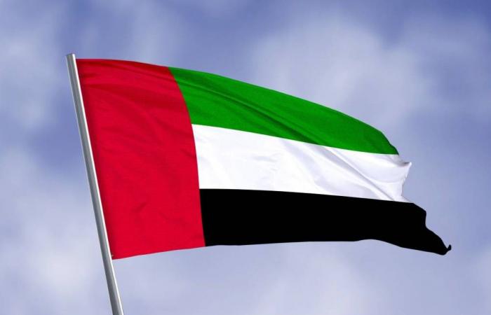 الإمارات.. التزام راسخ في دعم الشعب السوداني والتخفيف من معاناته الإمارات.. التزام راسخ في دعم الشعب السوداني والتخفيف من معاناته