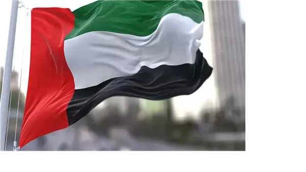 الإمارات تحبط محاولة لتمرير أسلحة وعتاد عسكري للقوات المسلحة السودانية الإمارات تحبط محاولة لتمرير أسلحة وعتاد عسكري للقوات المسلحة السودانية