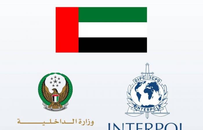 الإمارات تفوز برئاسة لجنة الحوكمة الدائمة في "الإنتربول" الإمارات تفوز برئاسة لجنة الحوكمة الدائمة في "الإنتربول"