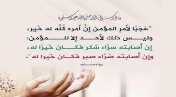 الإيمان شطران : الصبر والشكر