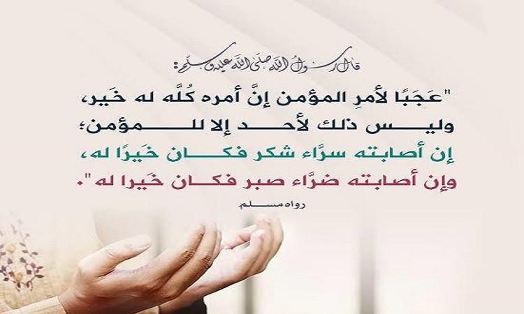 الإيمان شطران : الصبر والشكر