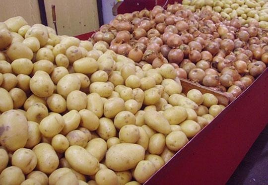 الاكتفاء الذاتي السنغالي يهدد تدفقات البصل والبطاطس المغربية الاكتفاء الذاتي السنغالي يهدد تدفقات البصل والبطاطس المغربية
