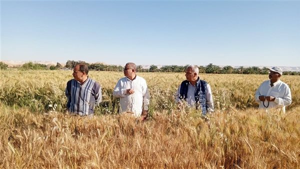“البحوث الزراعية” يعزز التعاون مع القطاع الخاص ويبحث تحديات الإنتاج الزراعي بالصعيد “البحوث الزراعية” يعزز التعاون مع القطاع الخاص ويبحث تحديات الإنتاج الزراعي بالصعيد