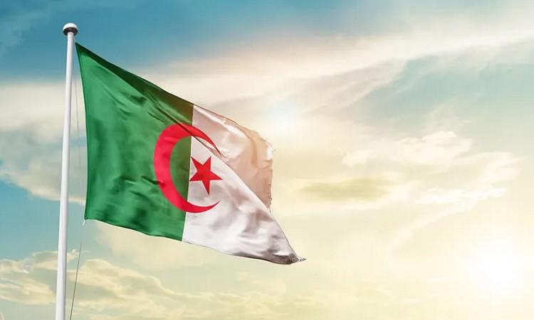 الجزائر تفوز بعضوية مجلس السلم والأمن للاتحاد الإفريقي الجزائر تفوز بعضوية مجلس السلم والأمن للاتحاد الإفريقي