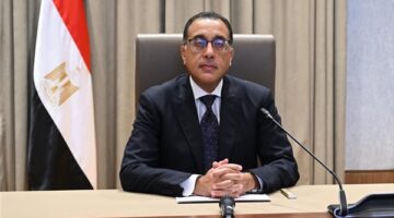 الحكومة توافق على تخصيص 2500 فدان في صحراوي المنيا لمشروع الغابات الشجرية