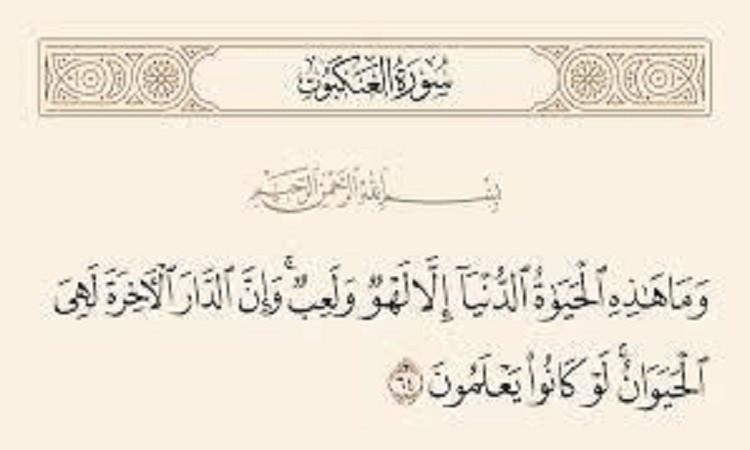 الحياة الدنيا..قدرها حقير وزمنها قصير الحياة الدنيا..قدرها حقير وزمنها قصير