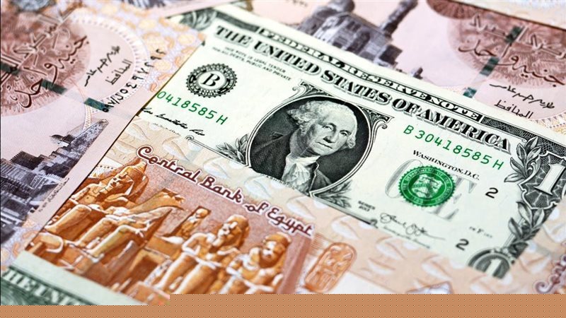 الدولار الأمريكي يقترب من الـ52 جنيهًا في البنوك الدولار الأمريكي يقترب من الـ52 جنيهًا في البنوك