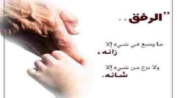 الرفق .. خلق إسلامي أصيل