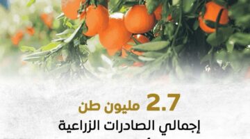 الزراعة: أهم الصادرات الزراعية الربع الأول عام 2025