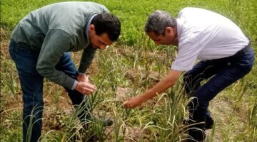 الزراعة تستعرض حصاد مركز البحوث خلال أسبوع