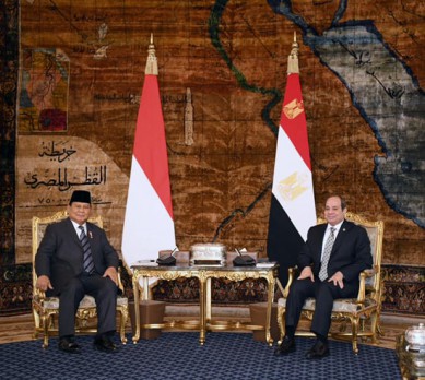 السيسي يبحث مع رئيس إندونيسيا تطورات إقليمية والوضع في غزة السيسي يبحث مع رئيس إندونيسيا تطورات إقليمية والوضع في غزة