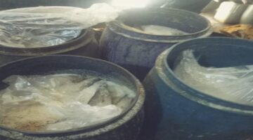 الغربية.. ضبط 6 أطنان من الأسماك المملحة غير الصالحة للاستهلاك الآدمي