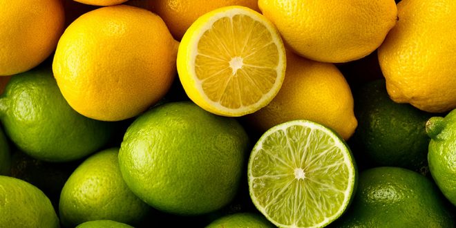 الليمون المغربي يقتحم الأسواق الروسية بعد تعثر صادرات تركيا ومصر الليمون المغربي يقتحم الأسواق الروسية بعد تعثر صادرات تركيا ومصر