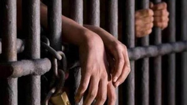 تأجيل محاكمة 7 متهمين بقتل شخص والشروع في التخلص من شقيقه بالقليوبية
