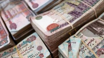 المالية: 617.9 مليار جنيه دعمًا صحيًا العام المالي المقبل