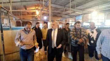 المدير التنفيذى لجهاز حماية  البحيرات يتفقد المفرخات السمكية بالشرقية