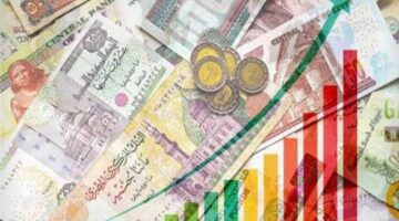 المشاط: نتوقع تحقيق 4.5% نموًا مستهدفًا في العام المالي المقبل