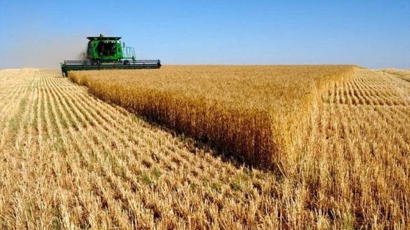 المغرب يطلق خطة استراتيجية لضمان 80% من الاكتفاء الذاتي من الحبوب بحلول 2030 المغرب يطلق خطة استراتيجية لضمان 80% من الاكتفاء الذاتي من الحبوب بحلول 2030