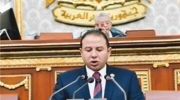 النائب حسن عمار: قمة الرئيس السيسي ونظيره بوتين تعكس عمق العلاقات بين البلدين