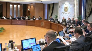 الوزراء: سداد 3 مليارات جنيه باقي مستحقات المزارعين الموردين للقطن الأسبوع المقبل