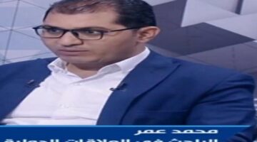 باحث في العلاقات الدولية:  جهود مصرية حثيثة لحل القضية الفلسطينية