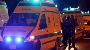 بالأسماء.. إصابة 4 صغار في حادث تصادم بالدقهلية