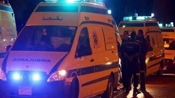 بالأسماء.. إصابة 4 صغار في حادث تصادم بالدقهلية بالأسماء.. إصابة 4 صغار في حادث تصادم بالدقهلية