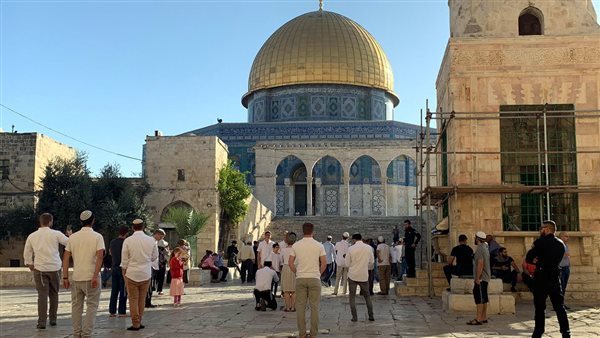 بالفيديو.. متحدث محافظة القدس: ندين الإجراءات والممارسات الإسرائيلية في المسجد الأقصى بالفيديو.. متحدث محافظة القدس: ندين الإجراءات والممارسات الإسرائيلية في المسجد الأقصى